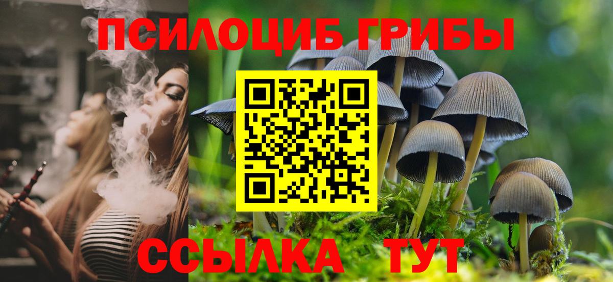 Юрга  Псилоцибиновые грибы Psilocybe  Псилоцибиновые грибы ЛСД  Вход с VPN 